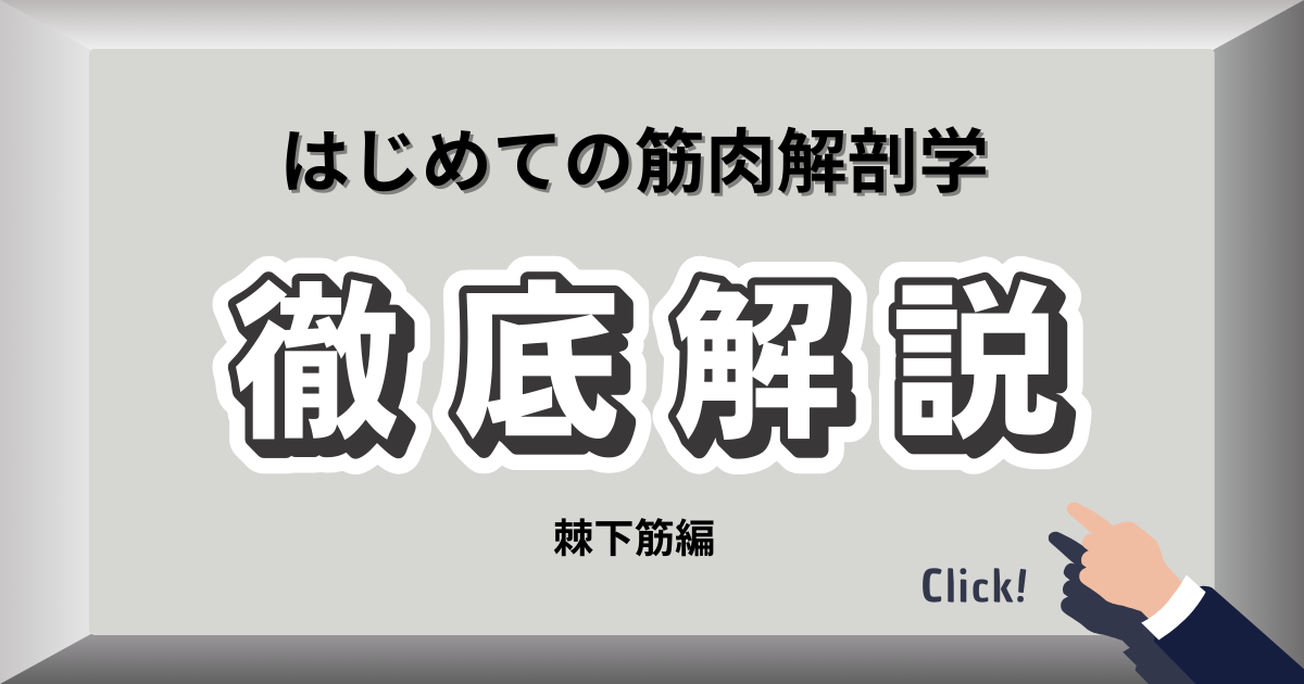 棘下筋の役割と症状、ストレッチ方法を解説するブログ用アイキャッチ画像