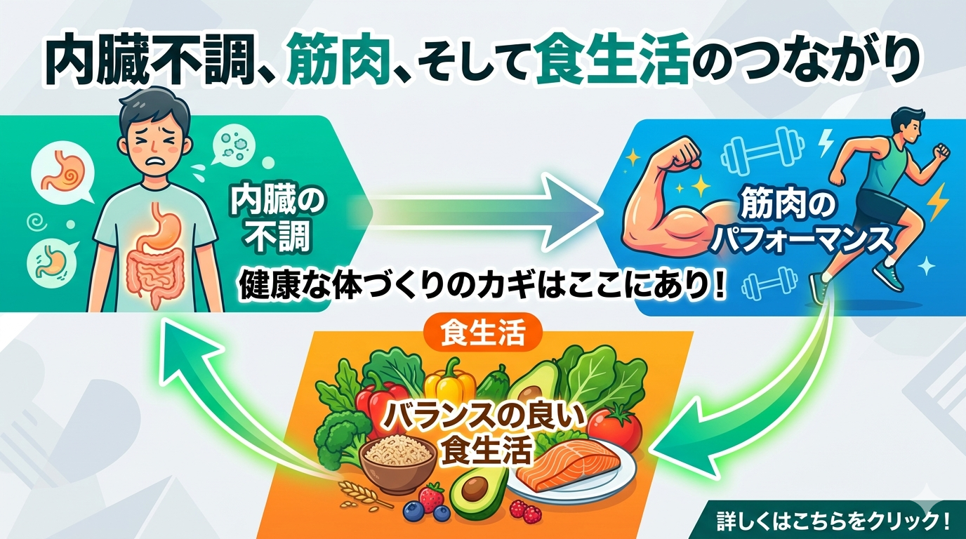 内臓の不調と筋肉の関係、食生活が体に与える影響を示したイメージ