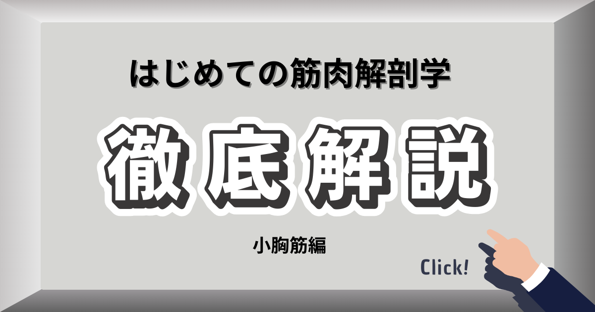 肩こりや巻き肩改善に関わる小胸筋のストレッチイメージ