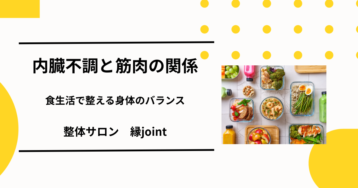 内臓ケアと筋肉の健康を意識した食生活イメージ