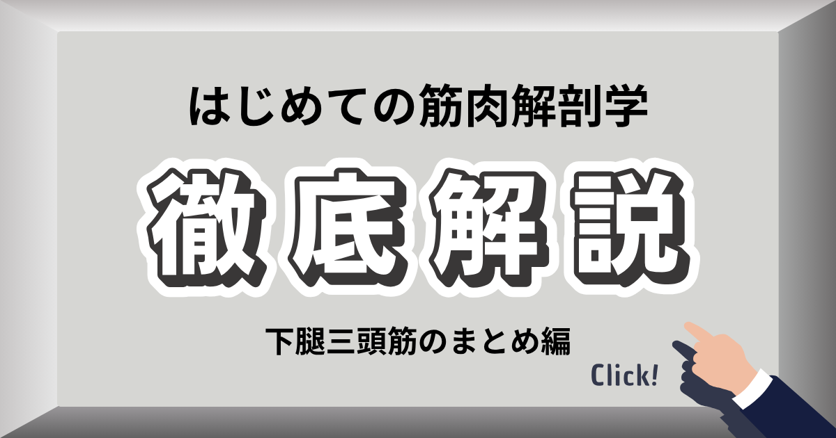 ふくらはぎ（下腿三頭筋）のストレッチ方法