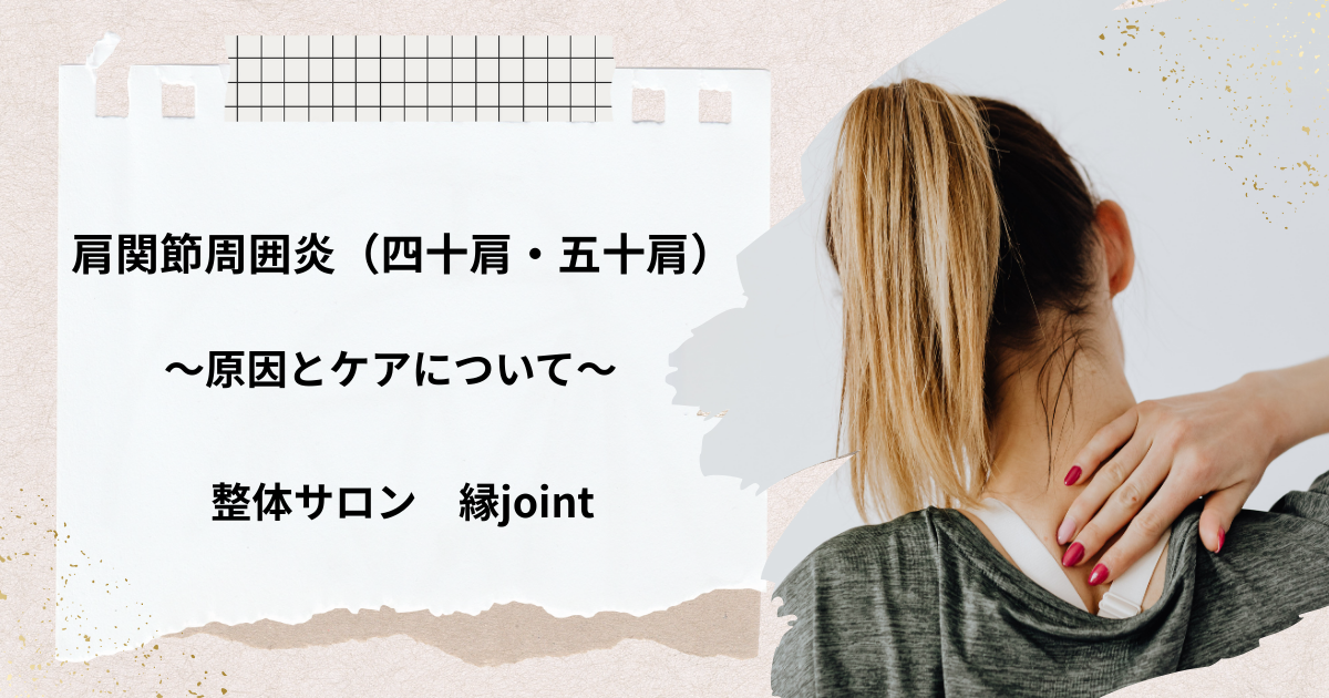 肩関節周囲炎で負担がかかる棘上筋、棘下筋、肩甲下筋、小円筋、三角筋、僧帽筋、肩甲挙筋を示す肩の解剖図