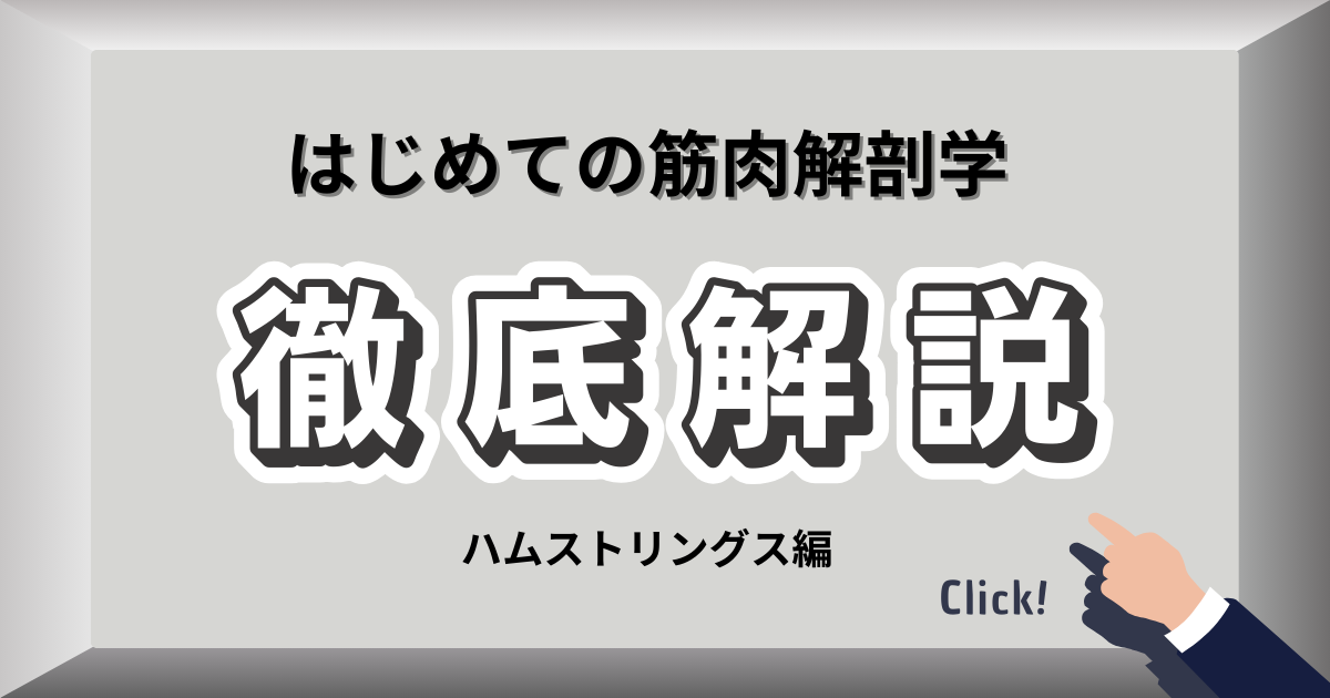 椅子を使ったハムストリングスストレッチ