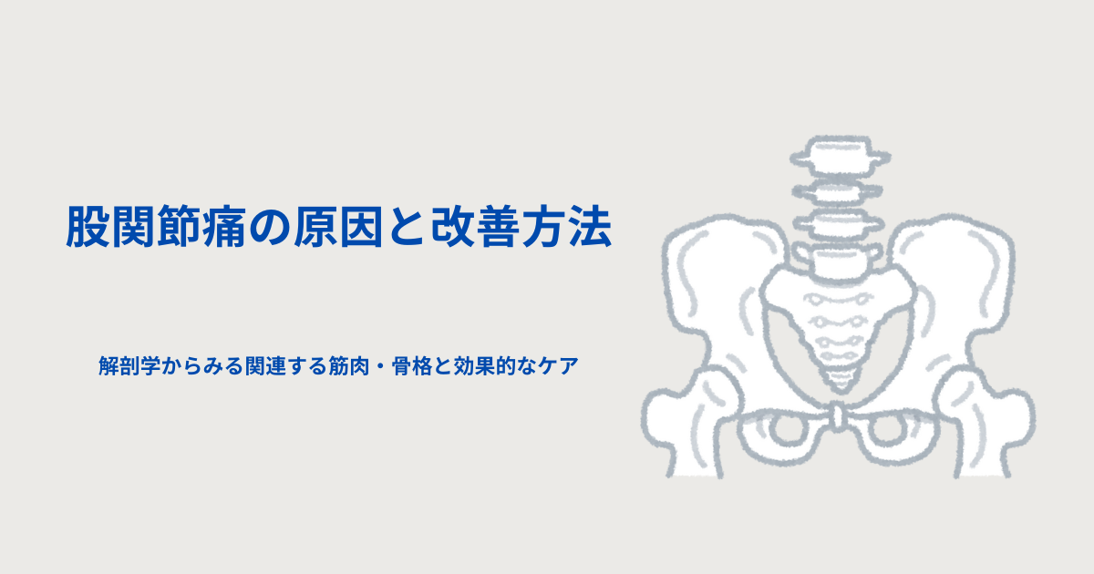 股関節の安定性に関わる筋肉と股関節痛の関連性