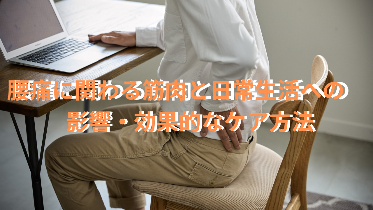 腰痛の主な原因と筋肉の関係