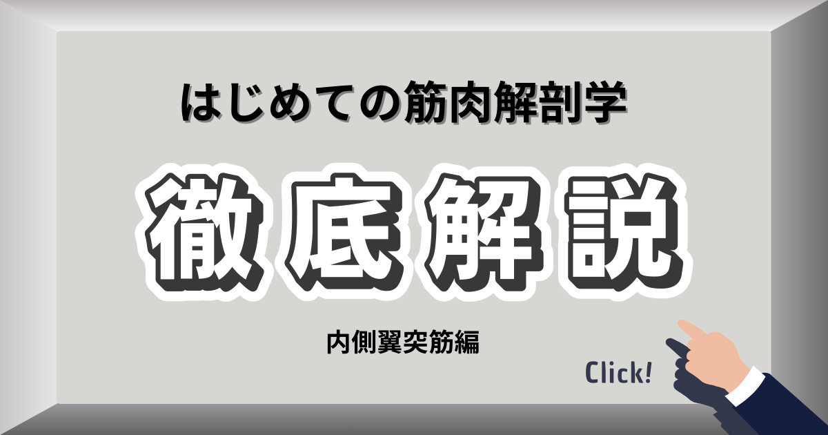 咀嚼運動に関わる内側翼突筋