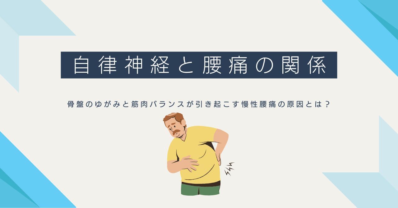 自律神経と骨盤の関係図