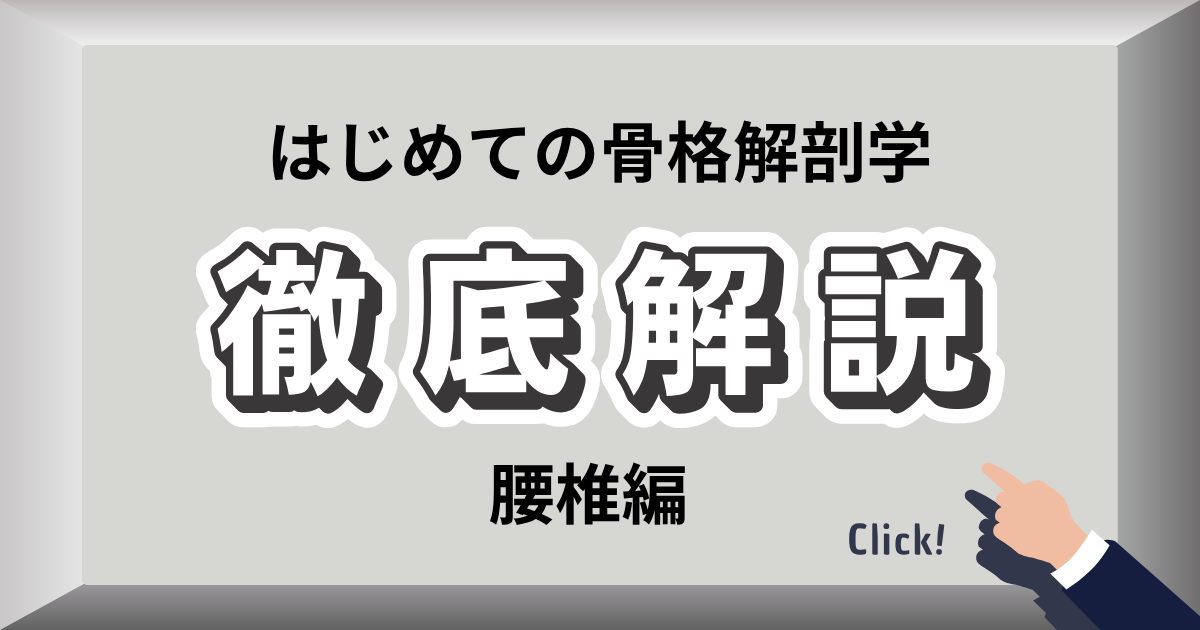 骨盤と腰椎のバランスを整える姿勢