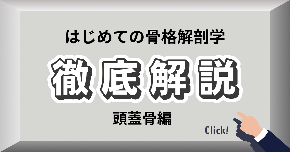 頭蓋骨を整えるセルフケア方法