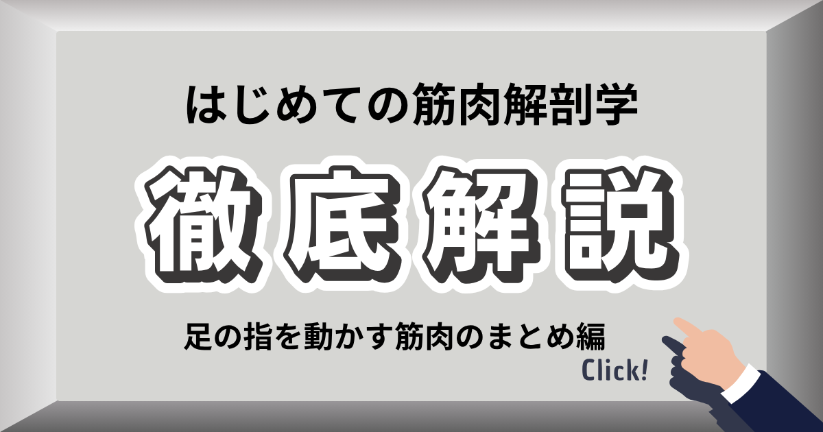 足趾の筋肉が硬くなったときの症状とセルフケア