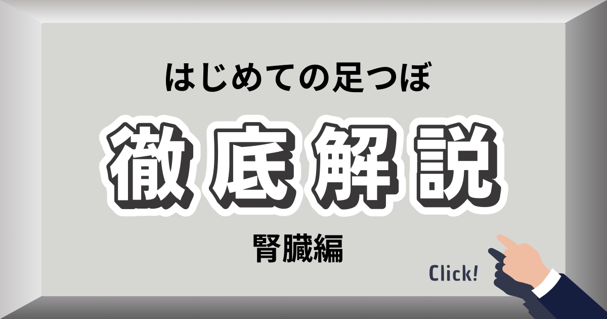 腎臓の足裏反射区とセルフケア方法