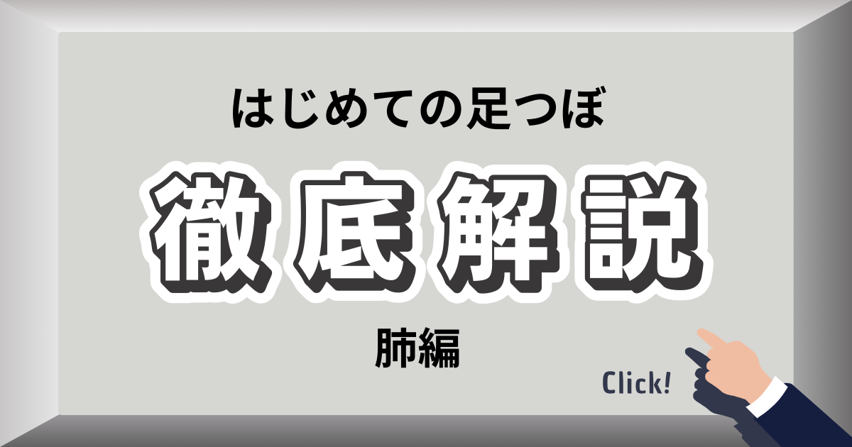 肺の足裏反射区と呼吸を整えるセルフケア