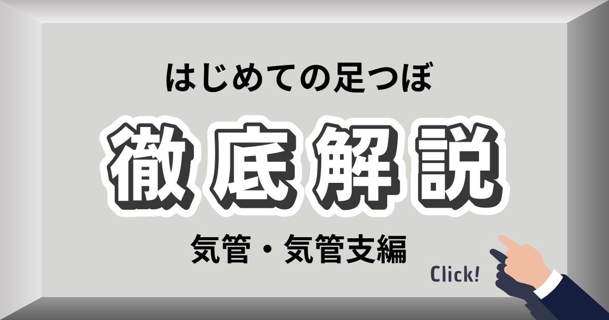 気管・気管支の足裏反射区と咳・のどケアのセルフマッサージ
