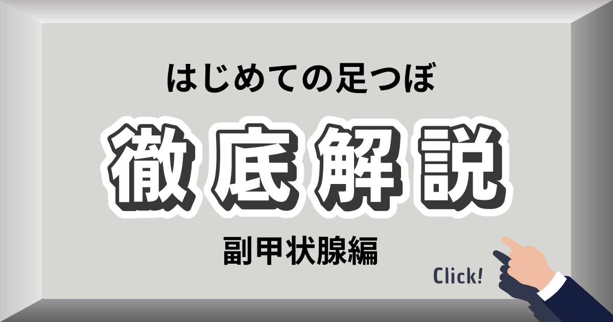 副甲状腺の足裏反射区と親指付け根内側のセルフマッサージ